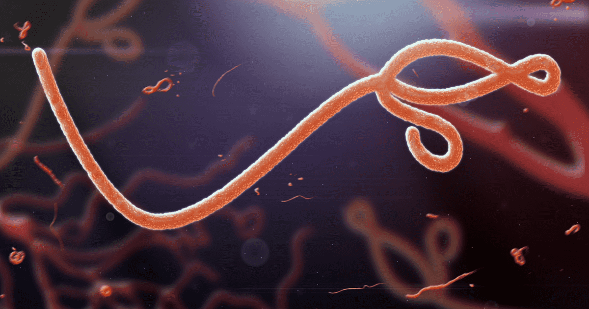 Med Phys Image What Is Ebola