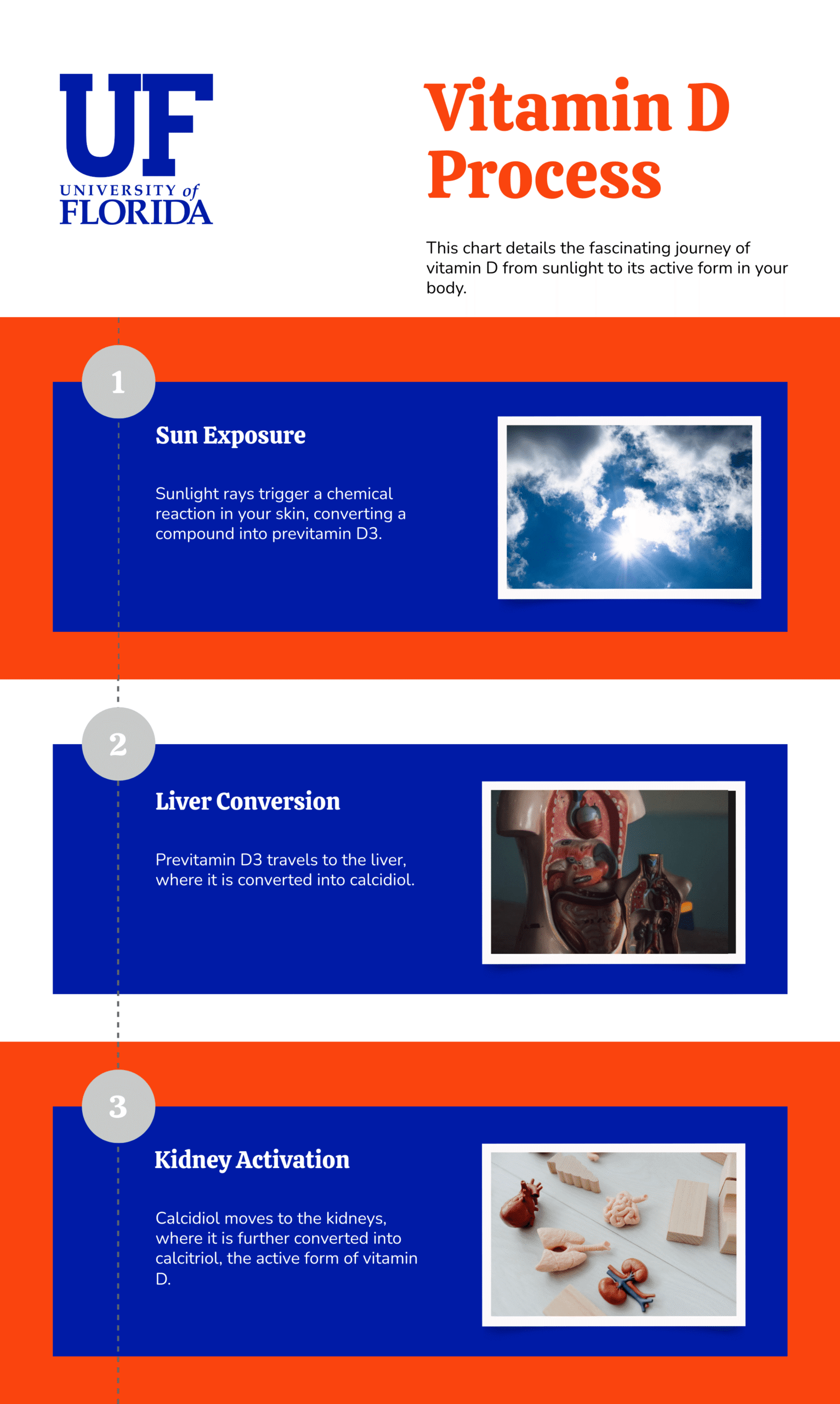 Vitamin D Proce 1749215144 Min Scaled